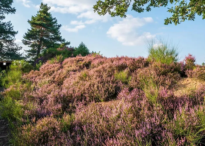 Haus Land & Fewo14 公寓 *